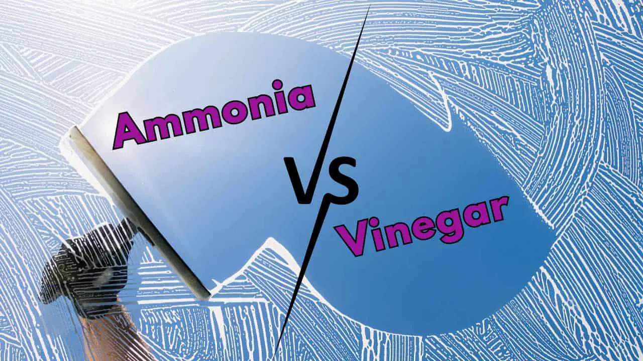 Which is Better for Cleaning Windows Ammonia or Vinegar