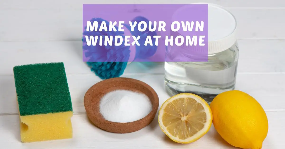 How to Make Windex at Home